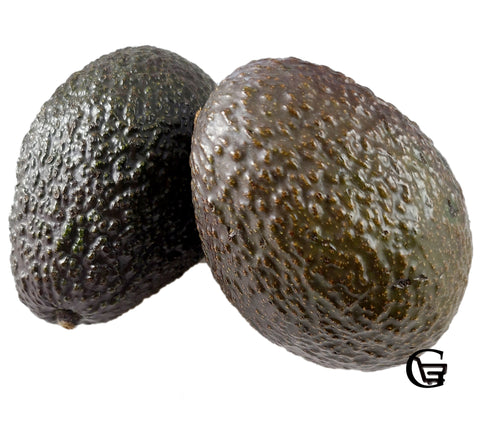 Hass Avocado - Aguacate.