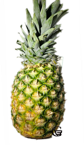Pineapple - Piña