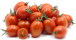 Plum Tomatoes - Tomates.